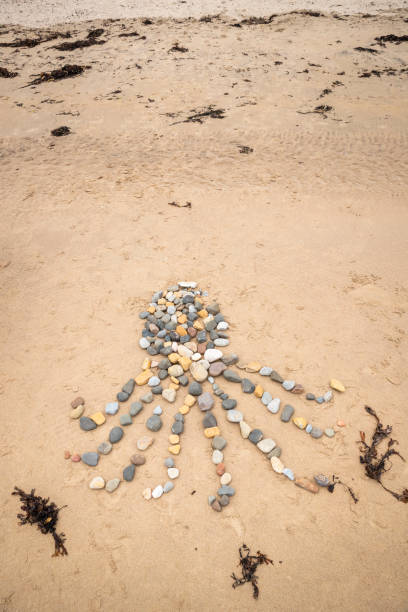 istock Octopus Made of Stones 1363988356