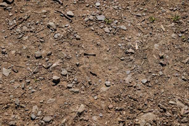 istock a soil texture with earth and stones 1363989886