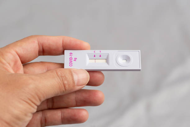 istock Man holding rapid antigen test kit with the negative result during swab COVID-19 testing. Lockdown and Home Isolation concept. 1363992778