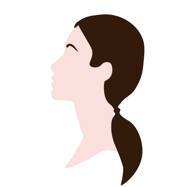 ilustraciones, imágenes clip art, dibujos animados e iconos de stock de perfil de la mujer. - hair bun asian ethnicity profile women