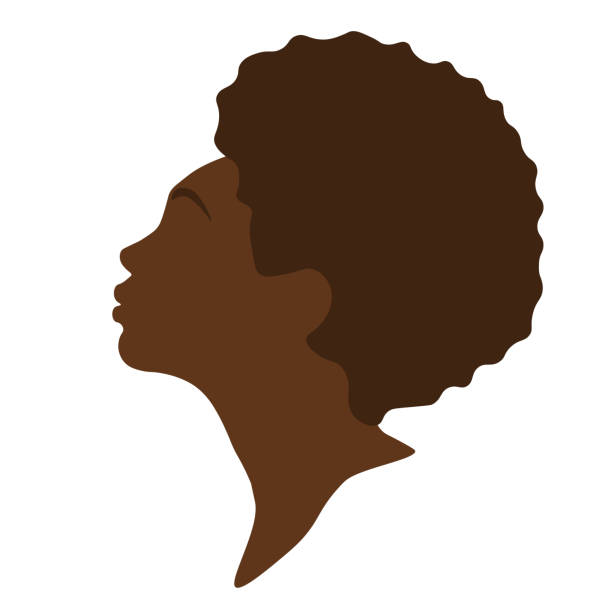Women's profile. Vector abstract minimalistic portrait of a woman . Women's profile. black woman hair bun stock illustrations