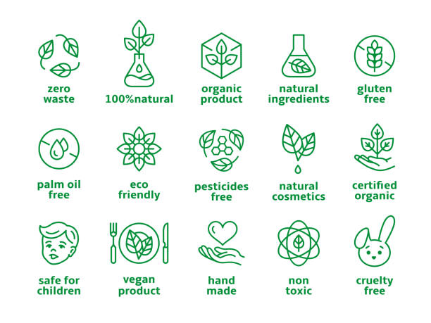 Organic cosmetics symbols. Beauty eco pictogram, vegan icons. Label no preservatives and no chemicals in makeup products, natural tidy vector badges Organic cosmetics symbols. Beauty eco pictogram, vegan icons. Label no preservatives and no chemicals in makeup products, natural tidy vector badges. Illustration of eco organic icons vegan stock illustrations