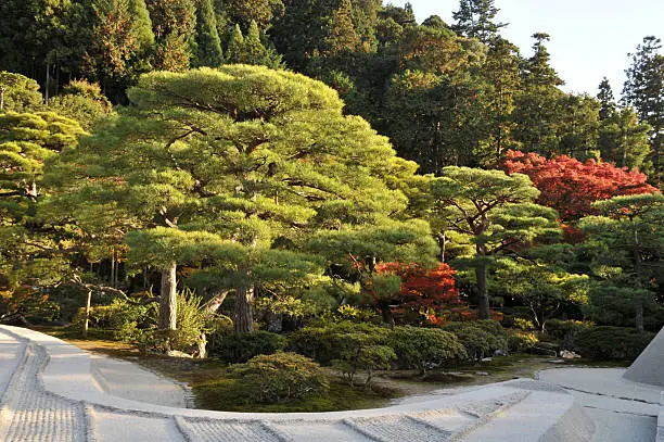Picture of a garden surrounding famous Silver pavilion (Ginkaku-ji) in Kyoto, Japan. October colors add to a zen-like gravel garden below