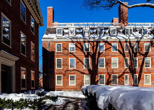Cambridge, Massachusetts, USA - January 8, 2022: Massachusetts Hall building (c. 1718-1720) in Harvard Yard. The oldest surviving building at Harvard University. Home to the University's President Office and freshman students. Shadows of trees on wall.
