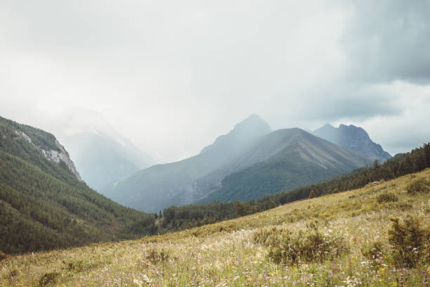 istock Dramatic vintage mountain landscape with forest under pointed peak among rainy low clouds. Scenic view to sharp mountain pinnacle under cloudy sky in overcast weather in sepia tones. Mountains scenery 1363999375