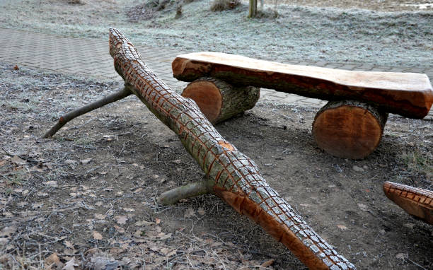 Old wooden pointer in a forest. Copy space