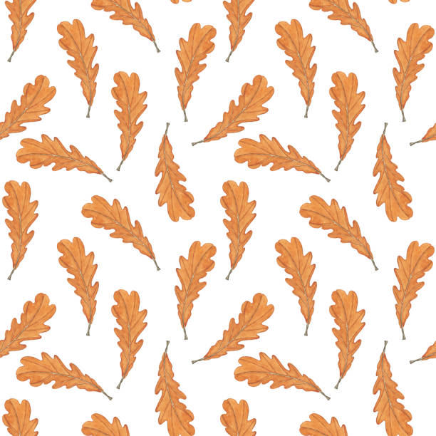 ilustrações de stock, clip art, desenhos animados e ícones de seamless pattern  brown oak leaf on white background. watercolor hand drawing illustration. aquarelle autumn leaf. perfect for fabric, print, wallpaper. - oak leaf oak tree acorn season