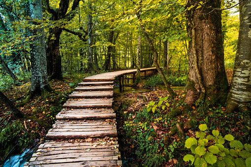 Wooden pathway near water stream in national park Plitvicka Jezera, Croatia