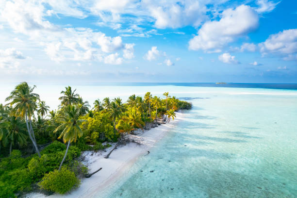 luftaufnahme der tropischen insel im ozean - malediven stock-fotos und bilder