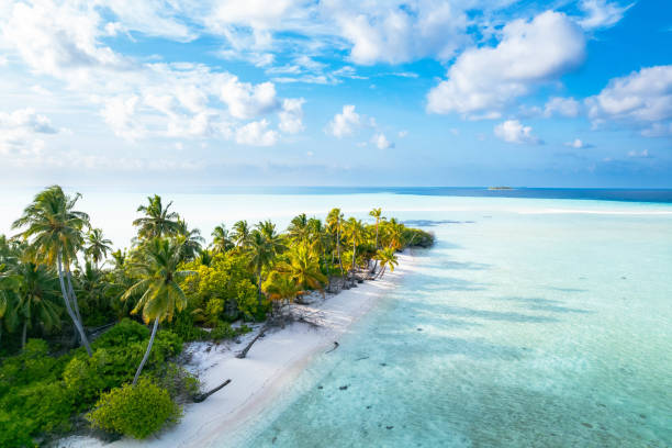 바다에서 열대 섬의 공중 보기 - 몰디브 뉴스 사진 이미지