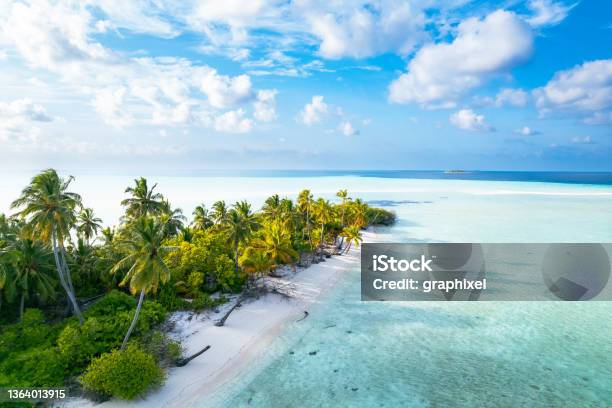 Aerial View Of Tropical Island In Ocean Stock Photo - Download Image Now - Maldives, Beach, Island
