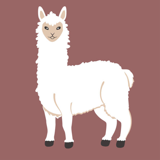 660+ Smiling Llama Backgrounds Stock Illustrations, Royalty-Free Vector ...