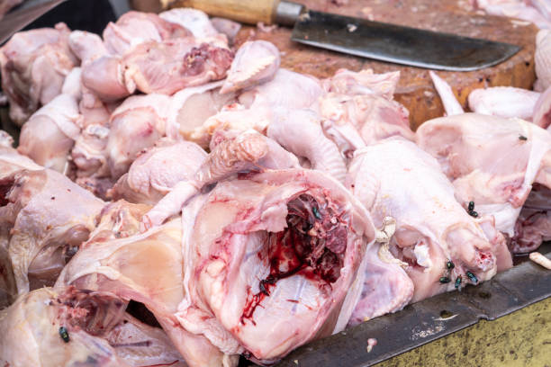 istock bunch of raw chicken 1364017852