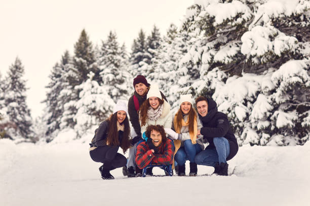 istock Cheerful people on sleigh in snowy woods 1364020088