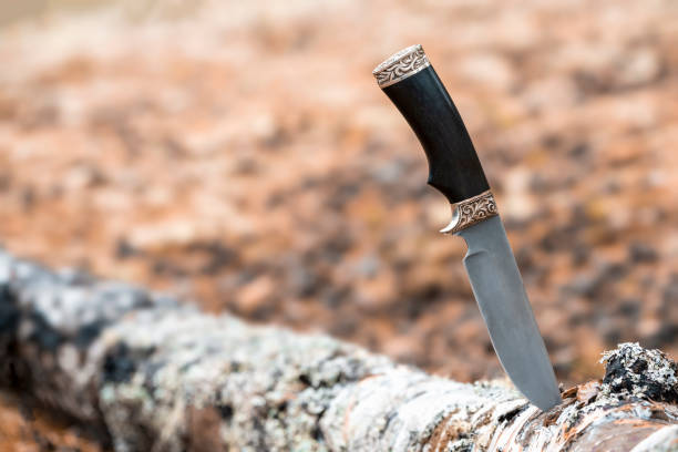 istock Long knife is stuck into birch tree in the forest. 1364021583