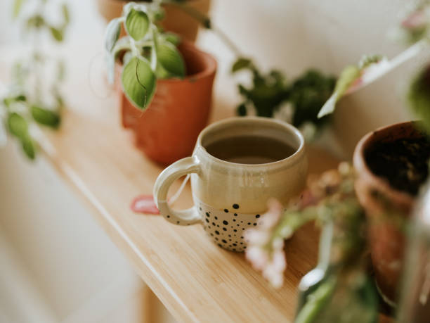 istock Green tea in ceramic teacup indoors at home 1364021676