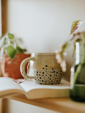 Green tea in ceramic teacup indoors at home with book
Photo taken indoors in natural light
Still life, nobody.
