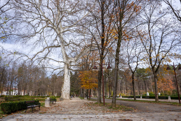 istock Beautiful park in autumn 1364022621