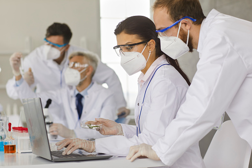Scientists working together to analyze samples while working in a modern research laboratory. Men and women in protective masks study microorganisms in a petri dish by analyzing them on a laptop.