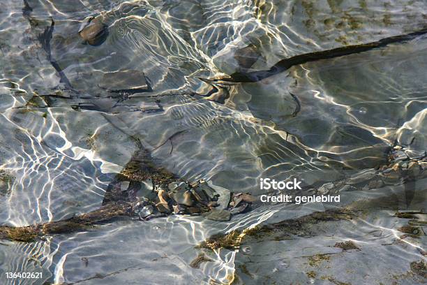Ripple Patterns In Shallow Stream Stock Photo - Download Image Now - Abstract, Algae, Backgrounds
