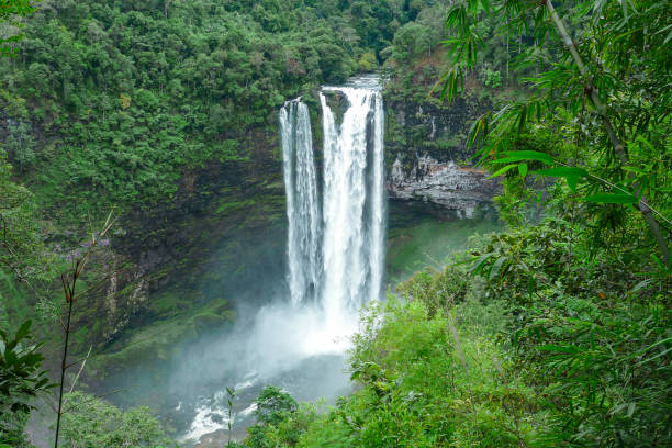 istock Beautiful Waterfall in Laos south 1364028004
