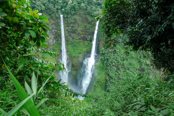 istock Beautiful Waterfall in Laos south 1364028007