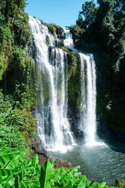 istock Beautiful Waterfall in Laos south 1364028033