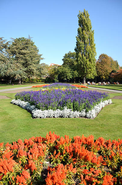 Habitación amplia y de coloridas flores en Chester Park - foto de stock