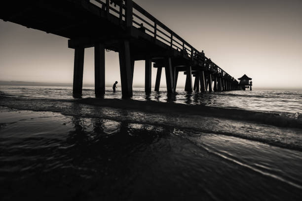 muelle sunset en blanco y negro - florida naples florida pier beach fotografías e imágenes de stock