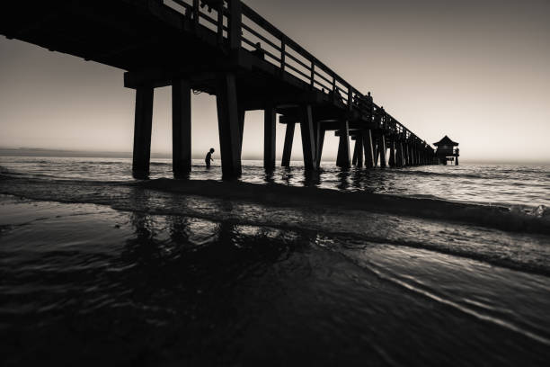 sunset pier in bianco e nero - florida naples florida pier beach foto e immagini stock