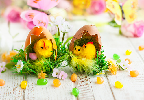Easter decoration with chicks,eggs and flowers