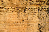 The rock surface is made of yellow sandstone