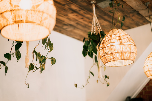 Wicker handmade chandelier lamps on the wooden ceiling, hanging flower pots with green plants on the white wall background. Eco natural trendy style. Modern minimal interior design. Selective focus