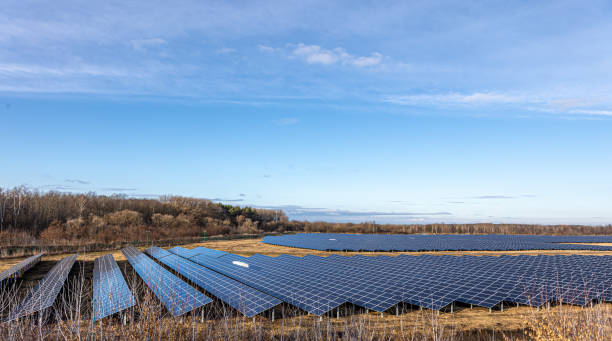 istock Electric farm with panels for producing clean ecologic energy. 1364038341
