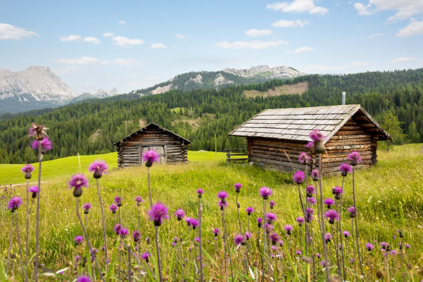 Small log cabins in a peaceful landscape in the Dolomite Alps