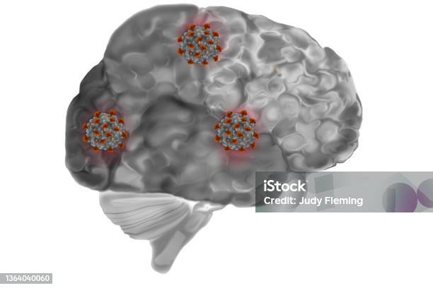 Brain Infected With Covi19 Stock Photo - Download Image Now - Research, Virus, Cerebrum