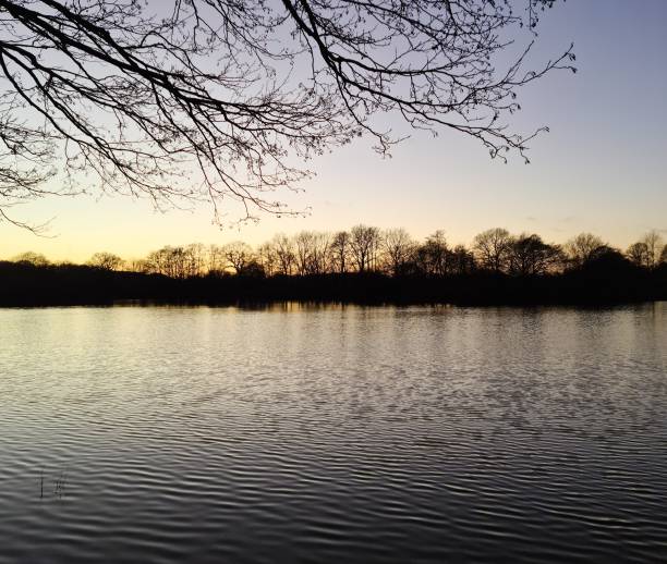 istock A lake at sunset with silhouettes of trees. 1364040290