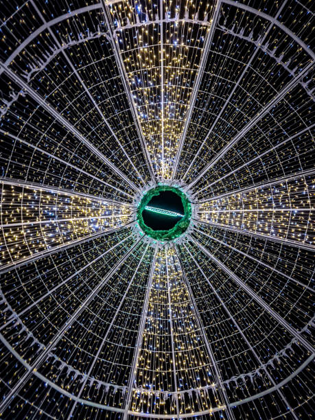 istock Circular neon abstraction glowing in the form of spider web on black background 1364041988