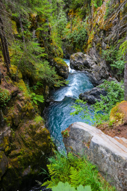 Winner Creek in Girdwood, Alaska