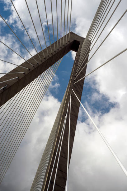 istock cable bridge Charleston, South Carolina 1364045446