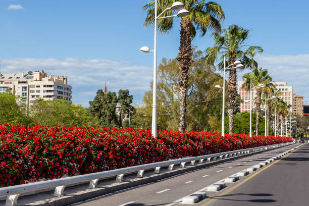 istock Flower bridge in Valencia 1364046075