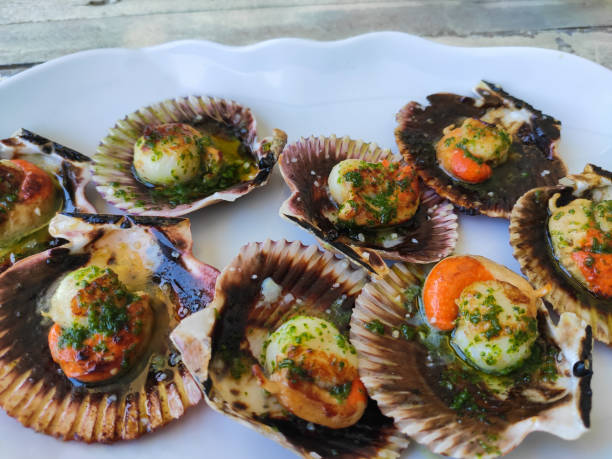 istock Delicious grilled scallops on its shell.Spanish traditional seafood dish 1364046141