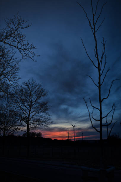 arbres nus et éoliennes contre un ciel nocturne spectaculaire - dramatic sky dusk night sustainable resources photos et images de collection