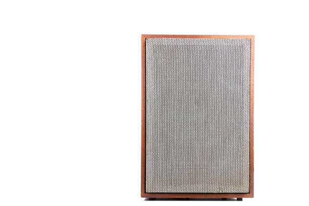 istock Single vintage speaker with fabric grill 1364051041