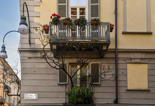 Detail of the exterior of an old building with potted plants on the balconies in winter, Turin, Piedmont, Italy