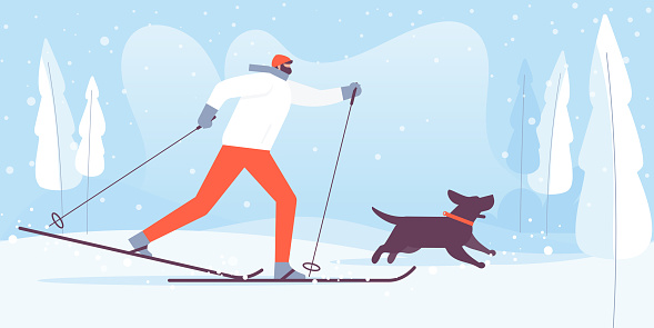 A man is a cross country skier and training his dog. Sport and outdoor activity concept. Vector illustration.