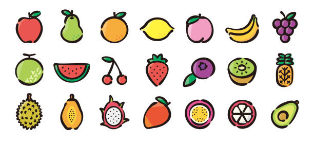 illustrations, cliparts, dessins animés et icônes de jeu d’icônes fruits pour le graphique (version couleur de dessin à la main) - kawani fruit