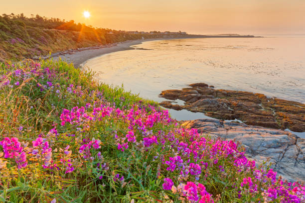 istock Victoria, Vancouver Island 1364058691