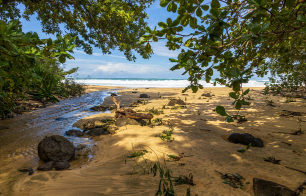 stürmischer ozean am kalihiwai beach, kawai island - hanalei stock-fotos und bilder