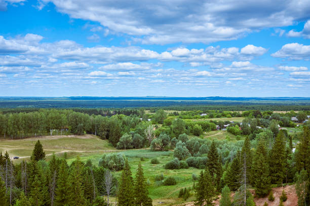 istock Green forest and fields under a blue sky with clouds. Beautiful summer landscape. 1364066684